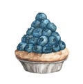 Blueberry tart isolated on white background, Hand Drawn and Painted. watercolor illustrationÃÂ 